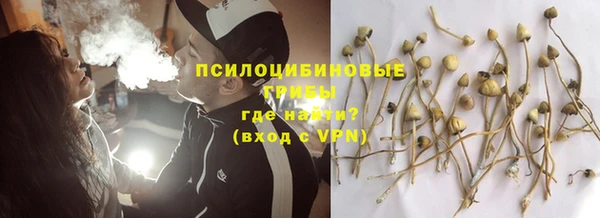 ECSTASY Алексеевка