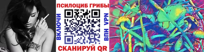 Псилоцибиновые грибы GOLDEN TEACHER Дудинка